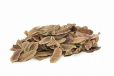 Sinameki Yaprağı Kullanımı ve Faydaları Nelerdir?